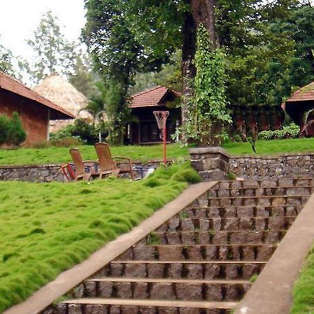 Hotel Misty Woods Νταραμσάλα Εξωτερικό φωτογραφία